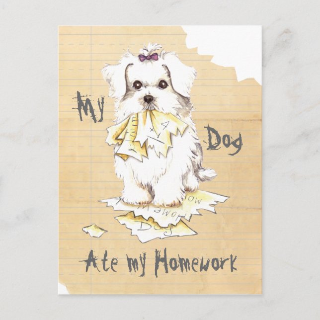 My Maltese Ate my Homework Postcard (Front)
