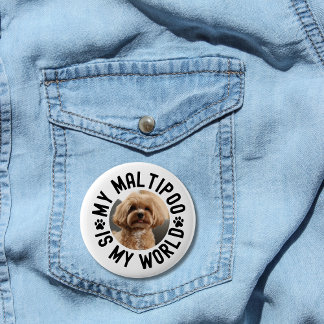 My Maltipoo Is My World Custom Pet Photo 6 Cm Round Badge