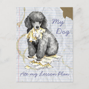 My Miniature Poodle Ate My Lesson Plan Postcard