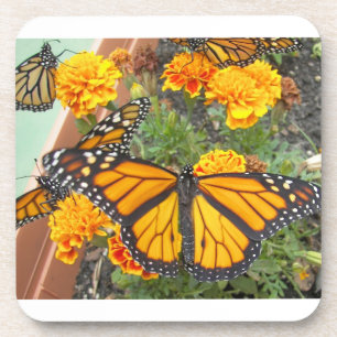 My Monarch Butterflies-cork coaster