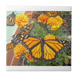 My Monarch Butterflies-tile Tile