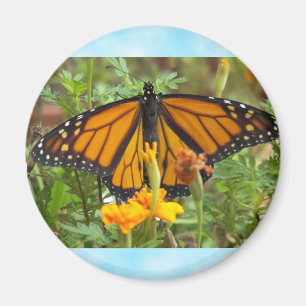 My Monarch Butterfly-magnet Magnet