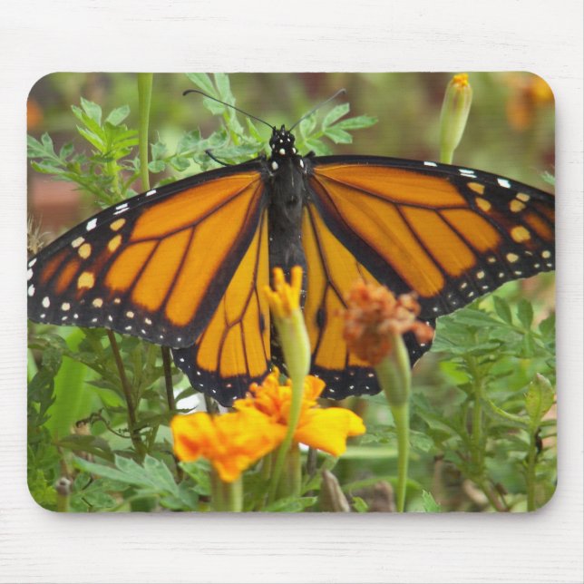 My Monarch Butterfly-mousepad Mouse Pad (Front)