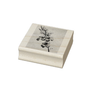 My Mum's Gladiolas Rubber Stamp