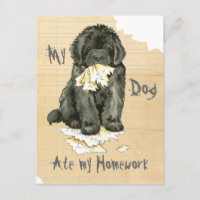 My Newfoundland Ate My Homework