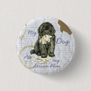 My Newfoundland Ate my Lesson Plan 3 Cm Round Badge