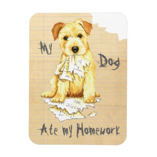 My Norfolk Terrier Ate My Homework Magnet