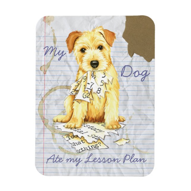 My Norfolk Terrier Ate My Lesson Plan Magnet (Vertical)