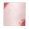 My Notes in Red Marble