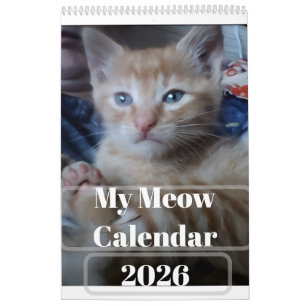My Own Cat Photo Quotes Customize Fun Calendar
