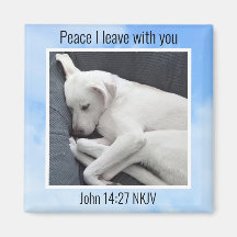 My Peace I Give You Bible Verse Dog in Blue Sky