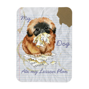 My Pekingese Ate My Lesson Plan Magnet