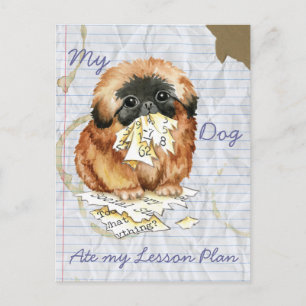 My Pekingese Ate my Lesson Plan Postcard