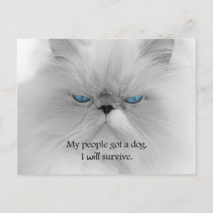 My People Got a Dog. I Will Survive. Postcard