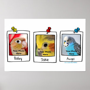 My Pet Birds Retro Custom Photo Collage  Poster