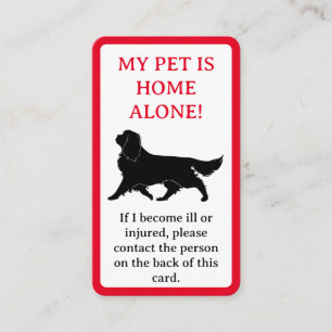 My Pet, Dog is Home Alone Card