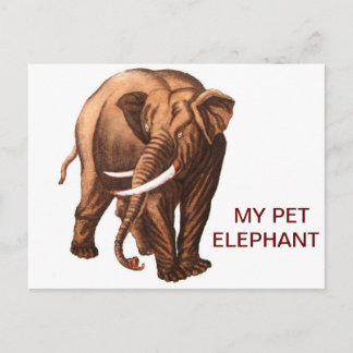 MY PET ELEPHANT POSTCARD