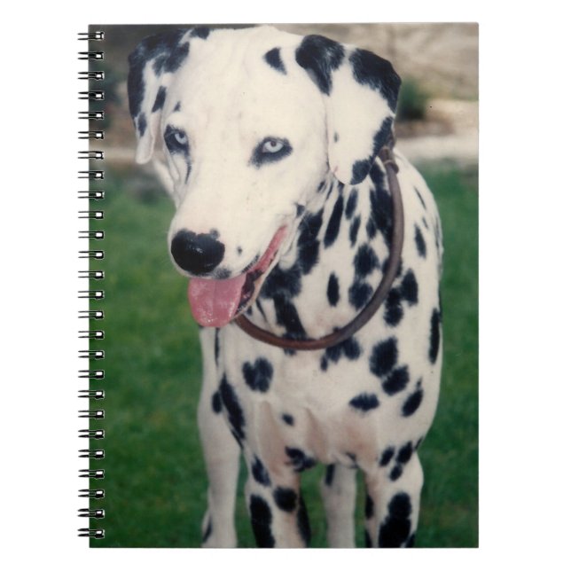 My Pet Friend Dalmatian Dog Custom   Notebook (Front)