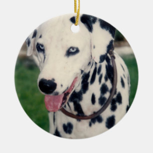 My Pet Friend Upload Your Own Photo Custom Ceramic Tree Decoration