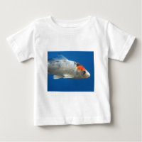 My Pet Koi Fish