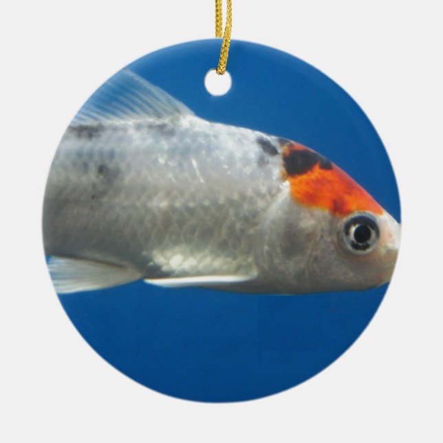 My Pet Koi Fish Ceramic Tree Decoration (Front)