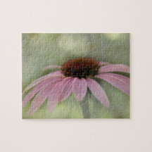 My pink Coneflower... "Echinacea purpurea"