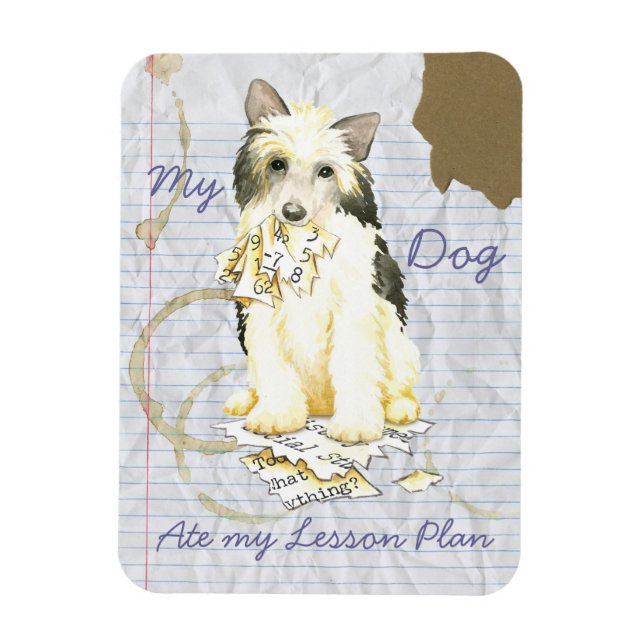 My Powderpuff Ate My Lesson Plan Magnet (Vertical)