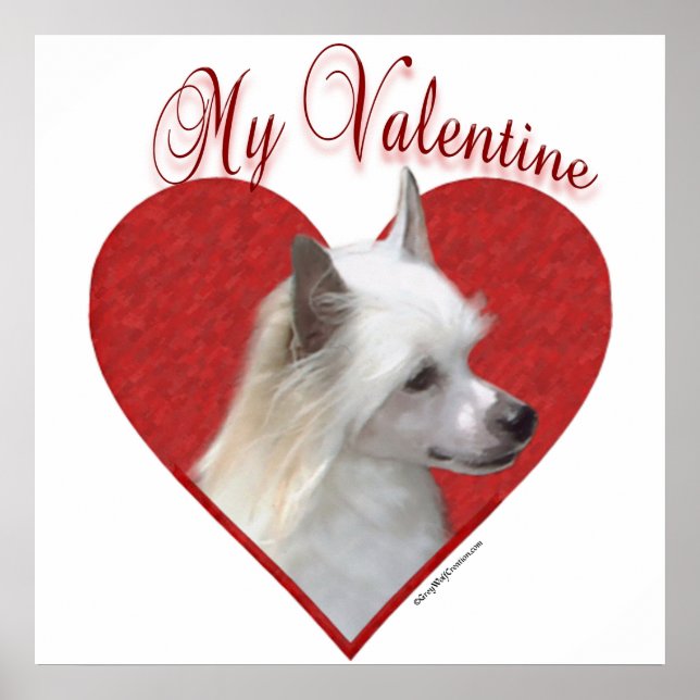 My Powderpuff Chinese Crested Valentine Poster (Front)