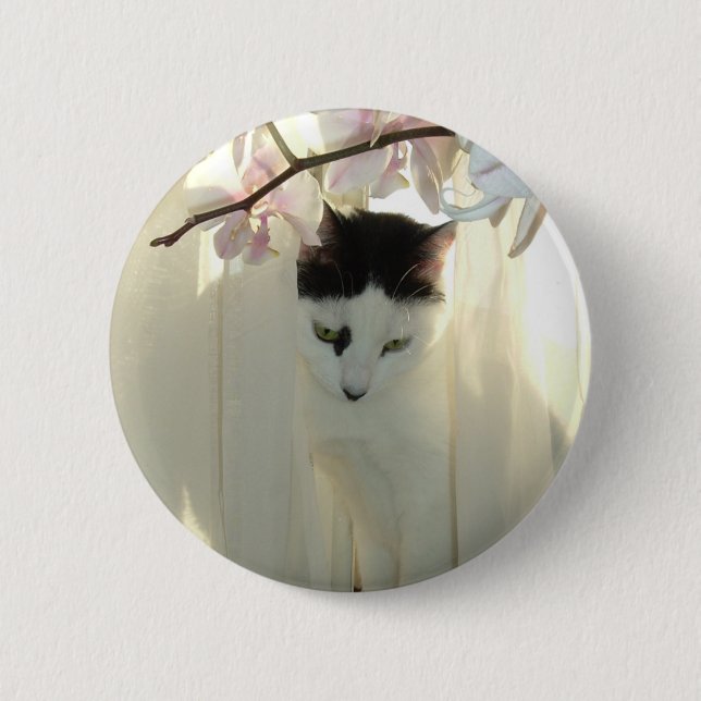 My Pretty Kitty 6 Cm Round Badge (Front)