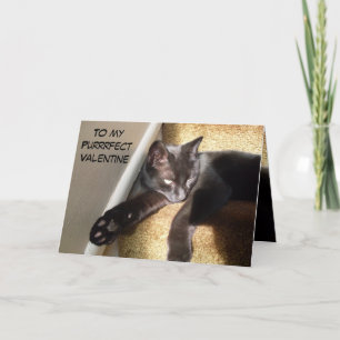MY PURRFECT VALENTINE KITTY THANK YOU CARD