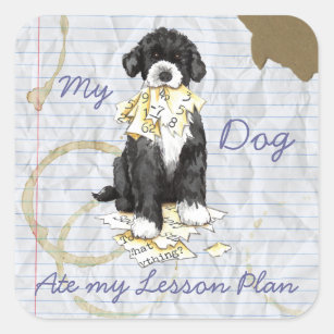 My PWD Ate My Lesson Plan Square Sticker