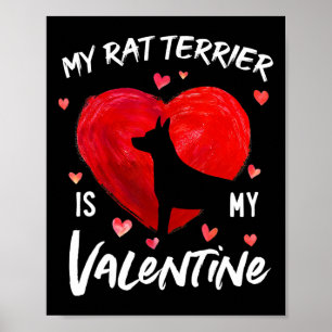 My Rat Terrier Is My Valentine Hearts Rat Terrier Poster
