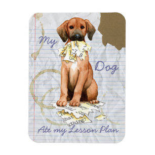 My Redbone Ate My Lesson Plan Magnet
