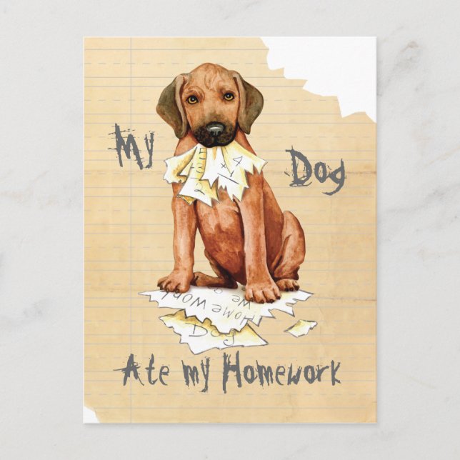 My Rhodesian Ridgeback Ate My Homework Postcard (Front)