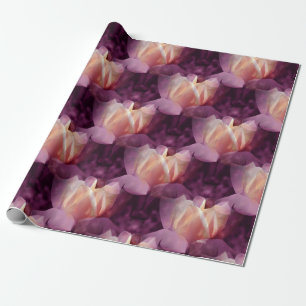 My Rose bed... Wrapping Paper