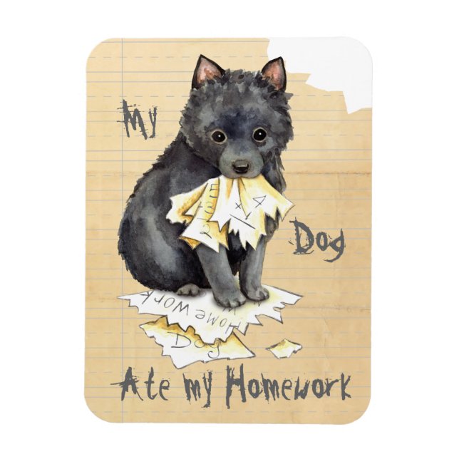 My Schipperke Ate My Homework Magnet (Vertical)