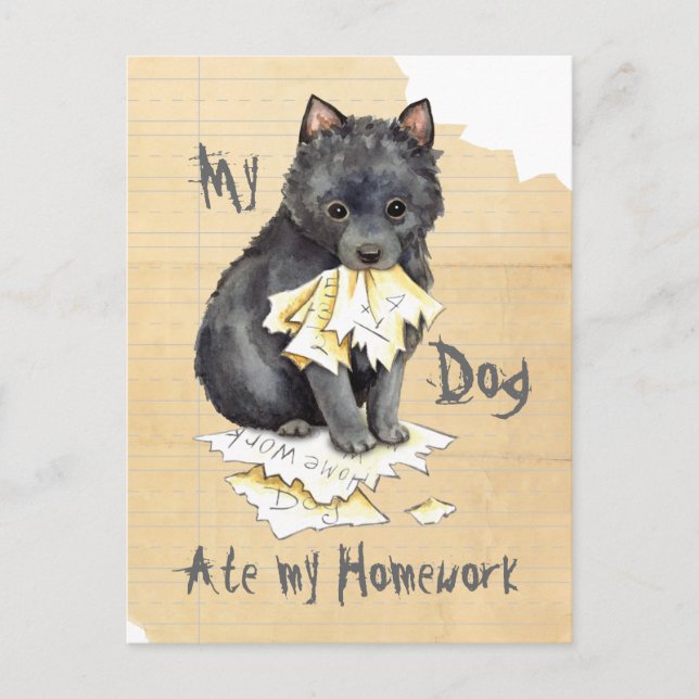 My Schipperke Ate My Homework Postcard (Front)