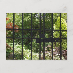 My Secret Garden Postcard