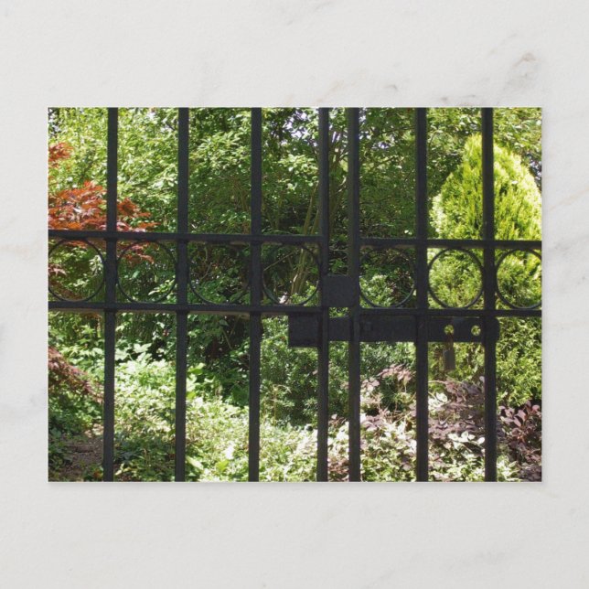 My Secret Garden Postcard (Front)