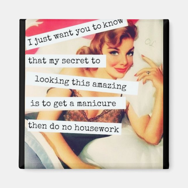 My Secret Vintage Retro Funny Magnet (Front)