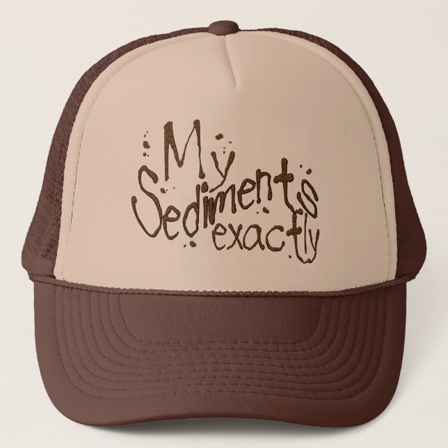 My Sediments Exactly Hat (Front)
