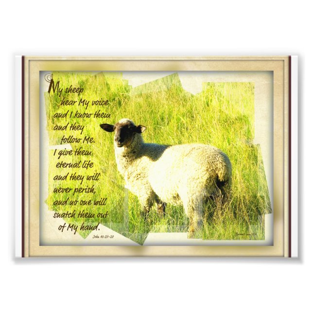 My Sheep Hear My Voice 5 x 7 Photo Print (Front)