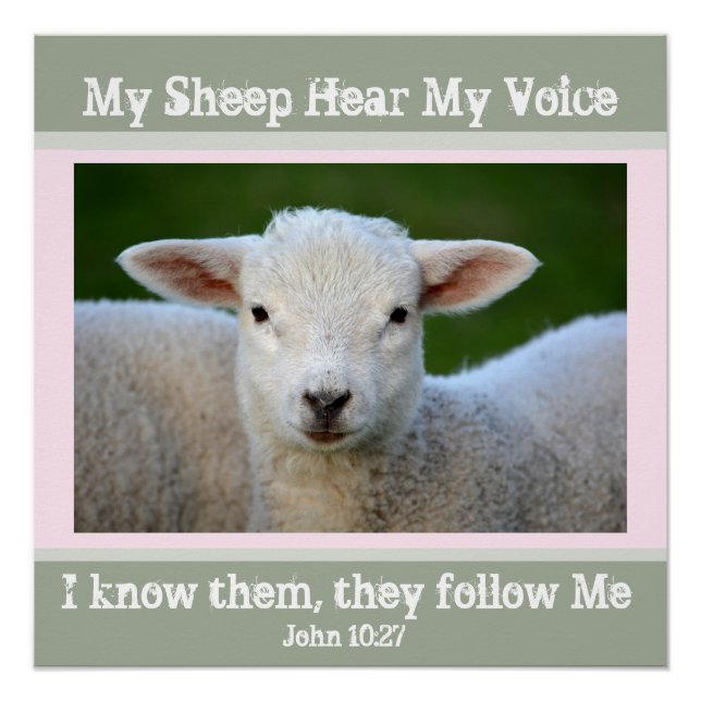 My Sheep Hear My Voice, Bible Verse John 10:27, Poster (Front)