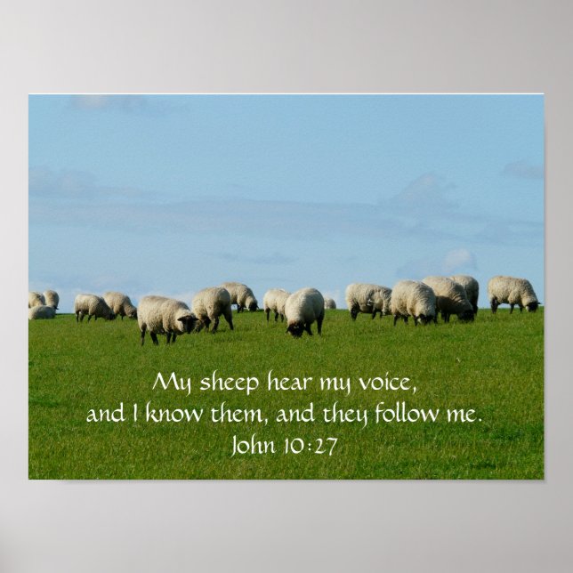 My Sheep Hear My Voice Poster (Front)