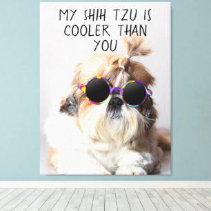 My Shih Tzu Is Cooler Than You Sunglasses Photo Canvas Print
