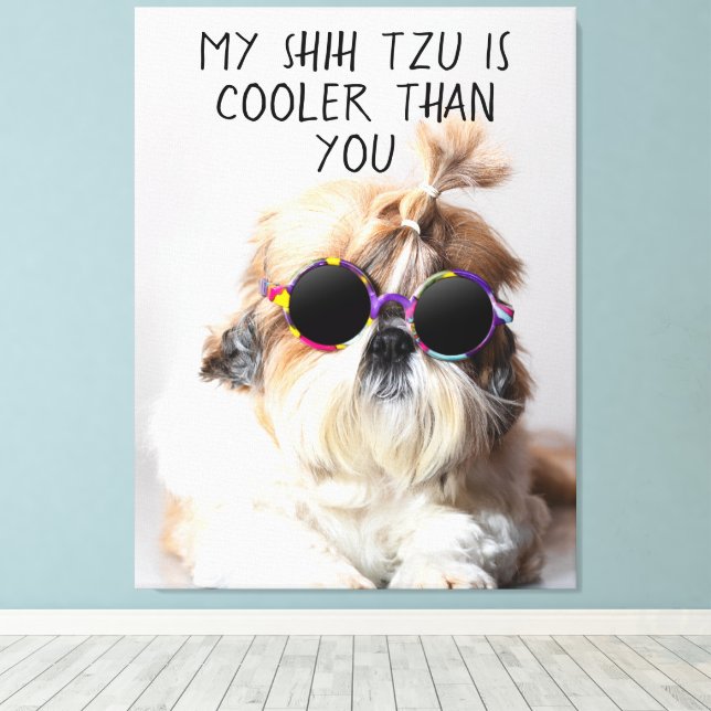 My Shih Tzu Is Cooler Than You Sunglasses Photo Canvas Print (Insitu(Wood Floor))
