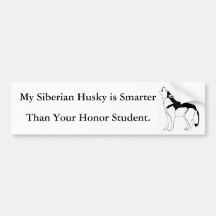 My Siberian Husky is Smarter Bumper Sticker
