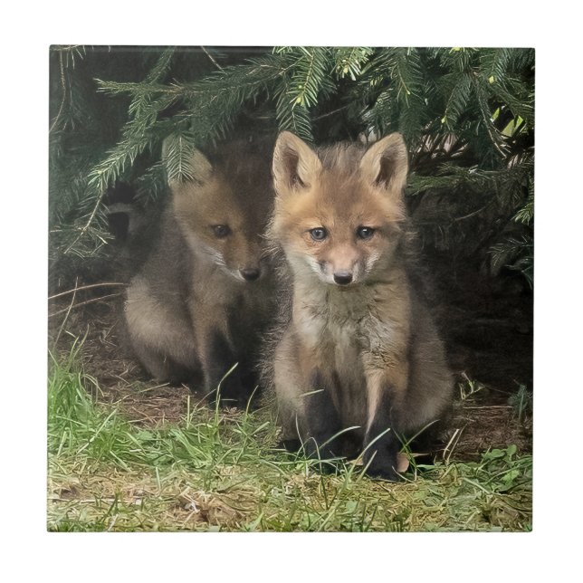 My Sibling Tile (Front)