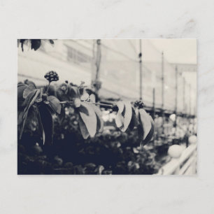 My Singapore: Heartlands Series #6 Postcard