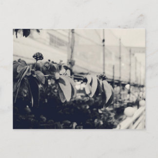 My Singapore: Heartlands Series #6 Postcard